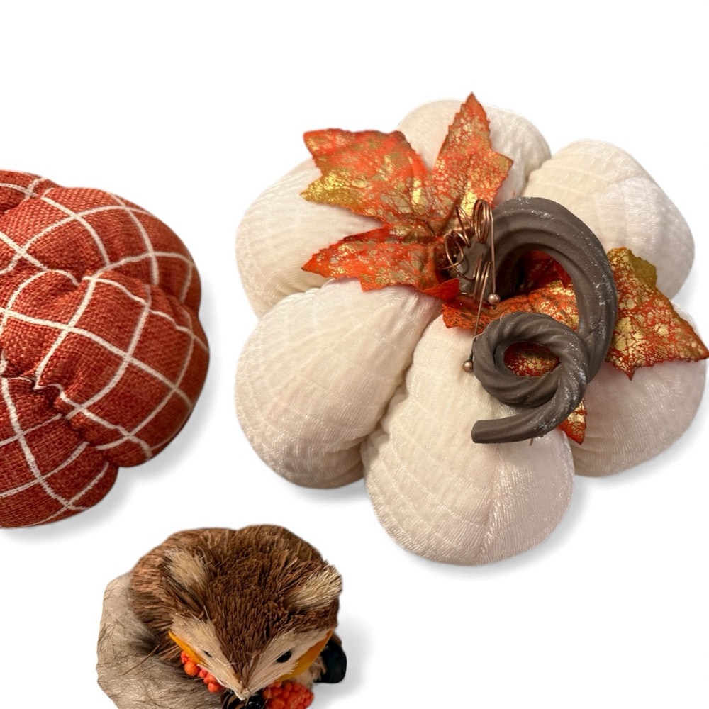 Assorted‎ Decorative Pumpkins Set - Picture 7 of 7